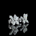 6.33 Cts 14k White Gold Pear Shape Studs Earring